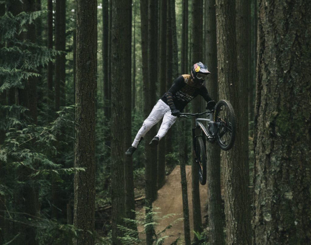 AFTERLIFE BY  ﻿BRANDON SEMENUK