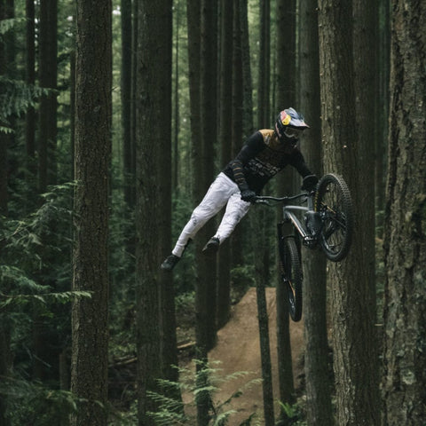 AFTERLIFE BY  ﻿BRANDON SEMENUK