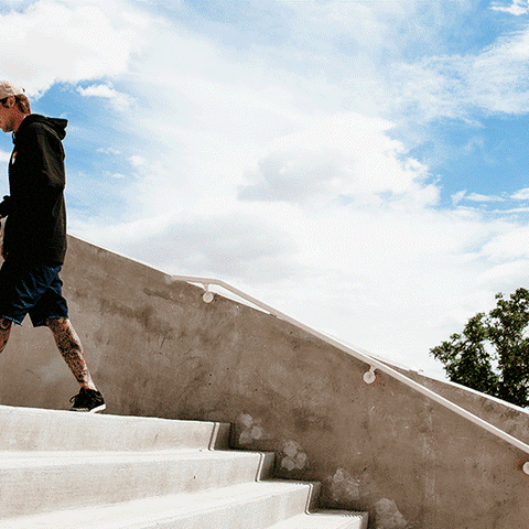 DAY IN THE LIFE OF SHECKLER