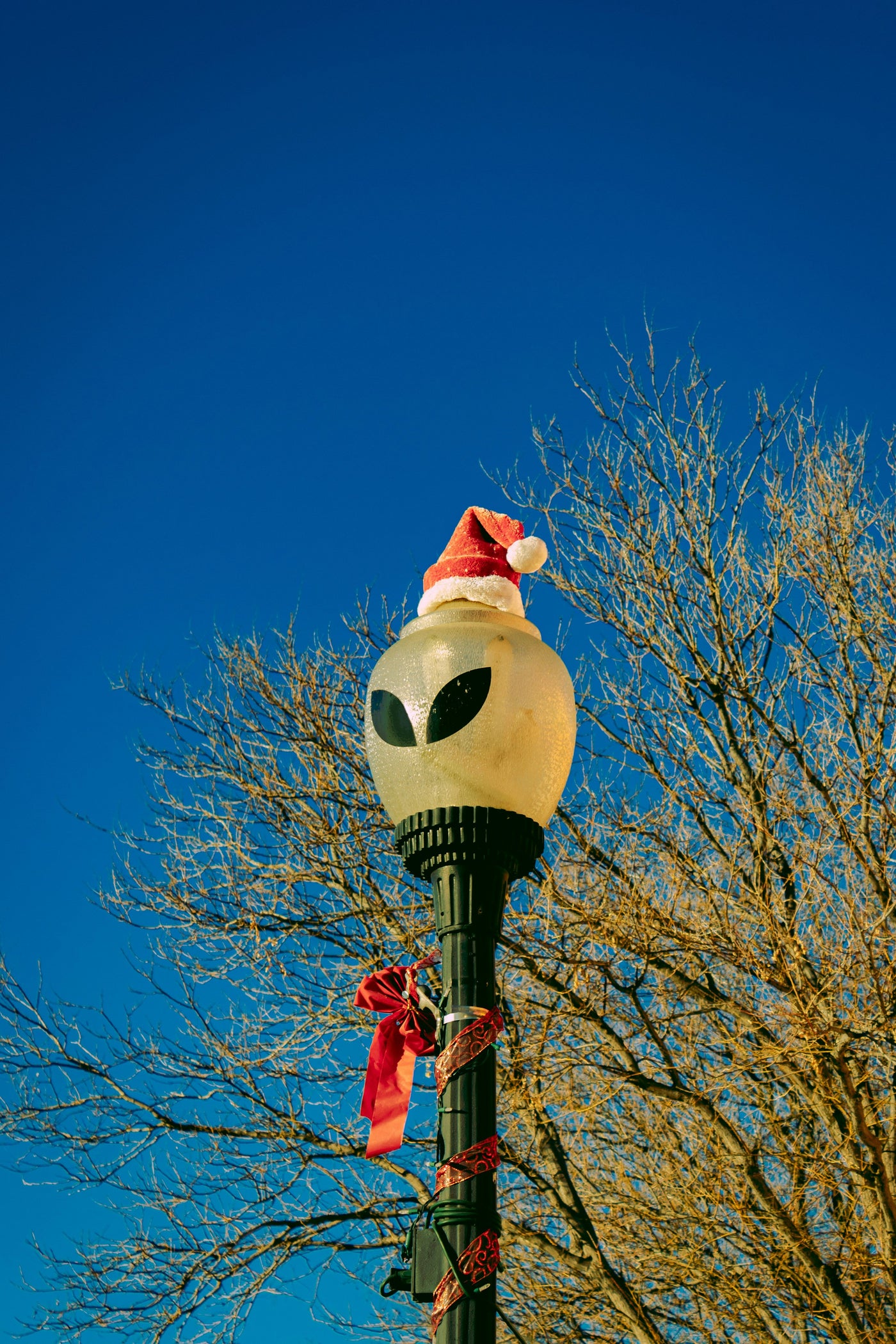 Spotify Playlist: Merry Mayhem